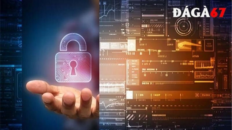 Trong chính sách bảo mật anh em có quyền lợi nào?