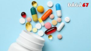 thuốc tăng lực cho gà đá