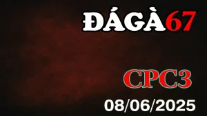 Full clip đá gà Thomo C3 ngày 08/06/2025