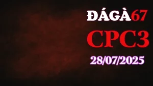 Tổng Hợp Đá Gà 67 Phát Lại C3 Thomo Hôm Nay - Ngày 28/7/2025