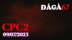 Xem Full Clip Đá Gà Thomo Hôm Nay C2 Ngày 09/07/2025