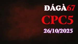 Clip gà chọi trực tiếp C5 full HD ngày 26/10/2025