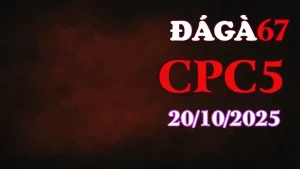 Clip gà chọi trực tiếp C5 full HD ngày 20/10/2025