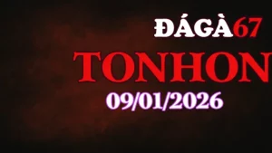 Đá Gà Tonhon Ngày 09012026 – Video Phát Lại Chuẩn HD