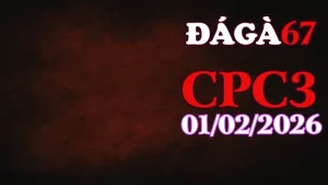 Tổng hợp Video đá gà trực tiếp CPC3 hôm nay 01022026 mới nhất