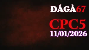 Xem Full Clip Đá Gà Trực Tiếp CPC5 Ngày 11012026