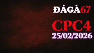 Tổng hợp Video đá gà trực tiếp CPC4 ngày 25022026 hấp dẫn