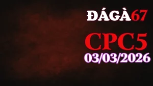 Video đá gà trực tiếp CPC5 hôm nay 03032026 – Full trận